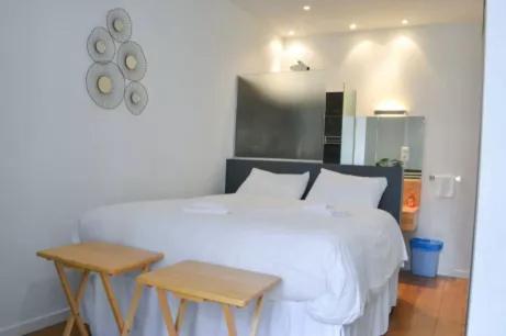 Appartement Centre-Ville Spacieux, Elegant / Climatisation Montpellier Ngoại thất bức ảnh